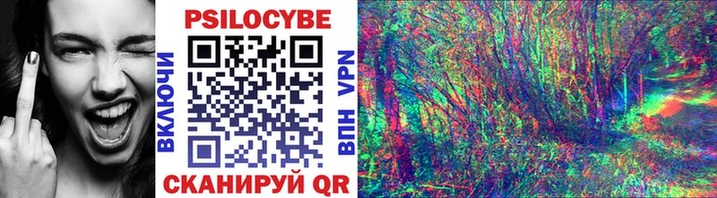 цена   Кушва  Галлюциногенные грибы Psilocybine cubensis 