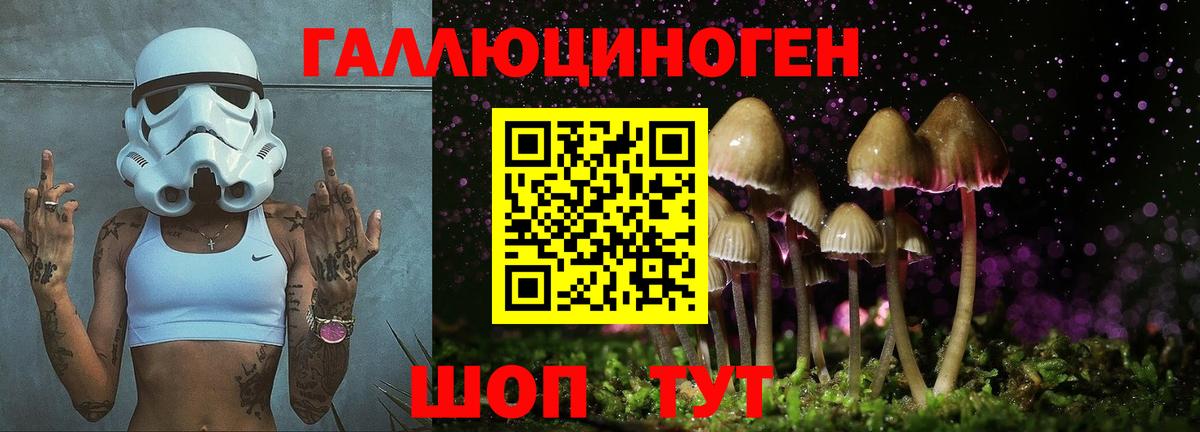 Галлюциногенные грибы ЛСД  Вход с VPN  Кушва  Псилоцибиновые грибы Cubensis 